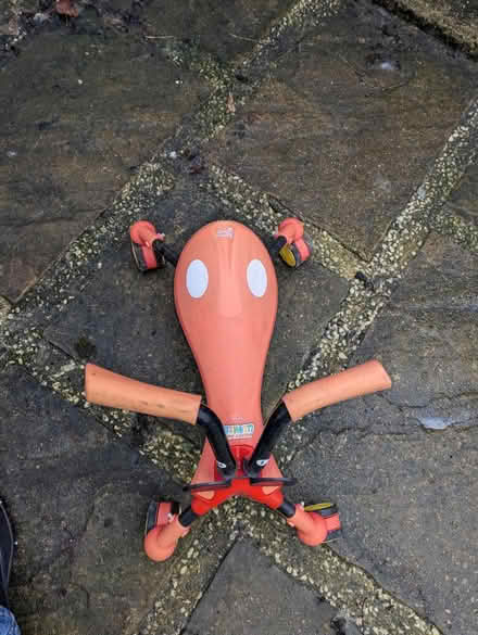 Photo of free Scuttlebug (Hunmanby) #1