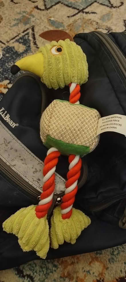 Photo of free Dog toy (Odenton) #1