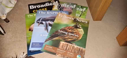Photo of free Various wildlife magazine (Dilton Marsh 4DZ) #1