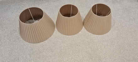 Photo of free Lamp shades (Charmouth DT6 6RA) #1
