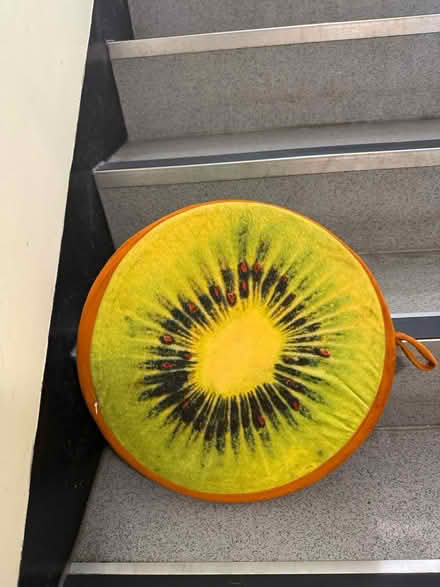 Photo of free Round cushions (Hammersmith) #3