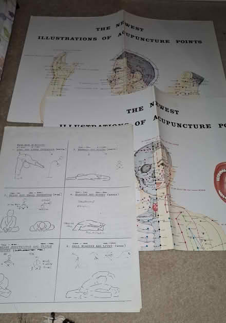 Photo of free Acupuncture/shiatsu information (Dilton Marsh 4DZ) #1