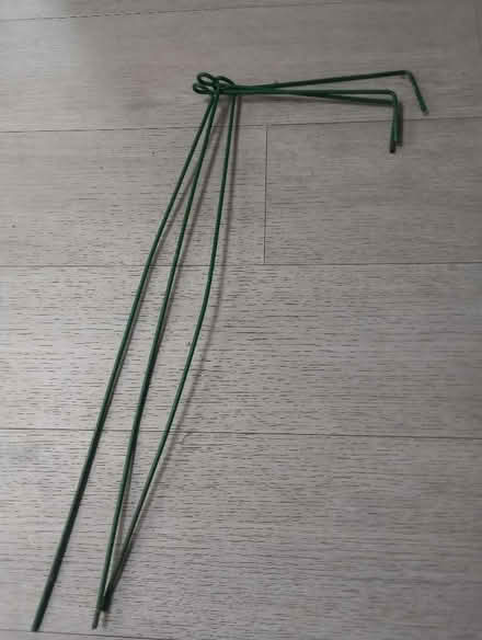 Photo of free Plant support (Bathampton) #1