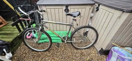 Photo of free Mountain bike (EH22) #1