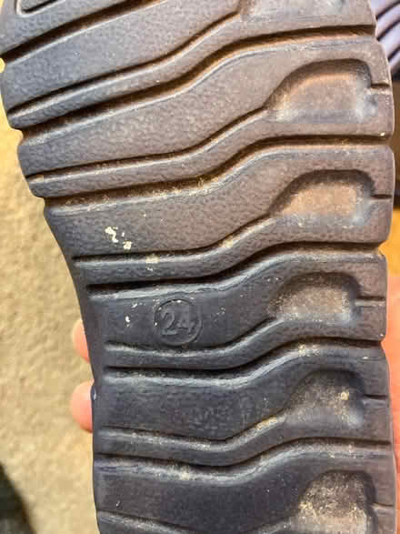 Photo of free Toddlers water shoes Size 24 (Long Eaton) #2