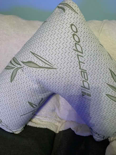Photo of free V shaped pillow (Glympton OX20) #1