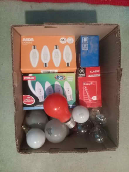 Photo of free Assorted incandescent light bulbs (Henlow SG16) #2