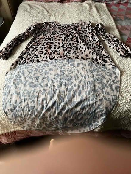 Photo of free Clothes size 18-22 (Minchinhampton GL6) #3