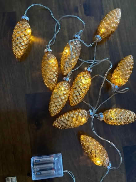 Photo of free Pine cone light strand (Groton, Hoyts Wharf Road) #1