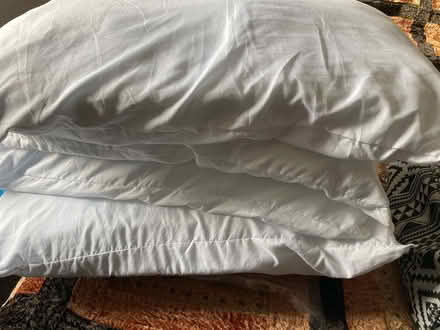 Photo of free Pillows & Single Duvets (Bolsover S44) #1