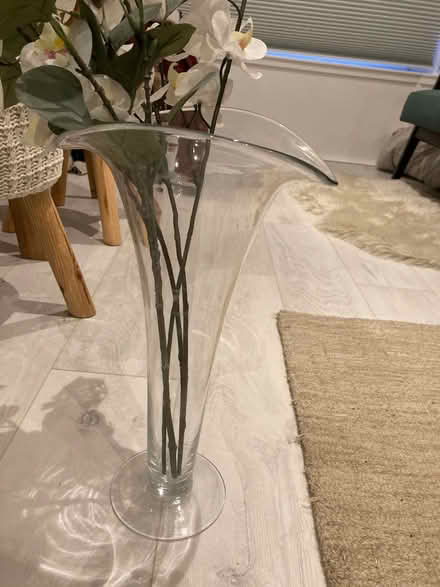 Photo of free tall glass vase (Sciennes EH9) #1