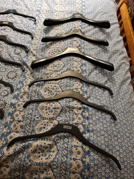 Photo of free Plastic coat hangers (Dronfield S18) #1
