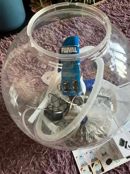 Photo of free Fish bowl (South Gosforth NE3) #3