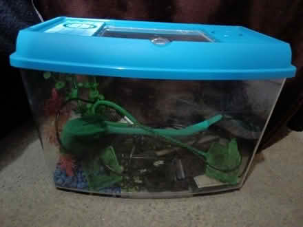 Photo of free Fish tank with a few bits (AL10) #1