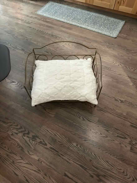 Photo of free dog bed (Governors Ranch Littleton) #1