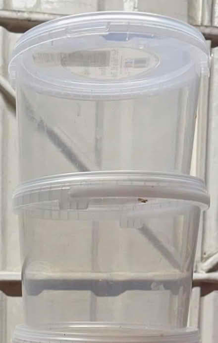 Photo of Large tubs (Clayton Green PR6) #1