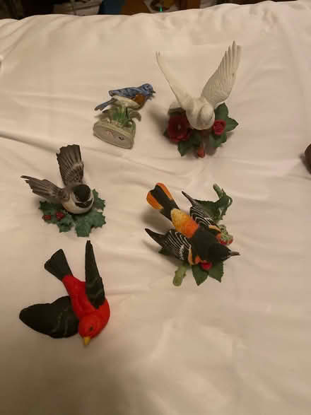 Photo of free Ceramic Birds (Manassas City) #1