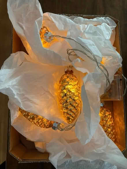 Photo of free Pine cone light strand (Groton, Hoyts Wharf Road) #2