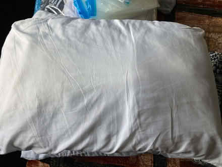 Photo of free Pillows & Single Duvets (Bolsover S44) #2