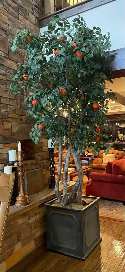Photo of free 12’ Faux Fruit Trees w/ Planters (Louisville) #3
