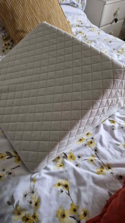 Photo of free Large wedge support cushion (Yapton BN18) #1