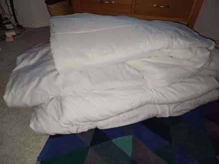 Photo of free Various duvets (Chippenham SN14) #1