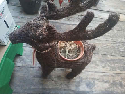 Photo of free Christmas decoration plant pot (Putney SW15) #1