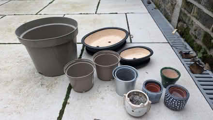 Photo of free Various plant pots (Abbeville Village SW12) #1