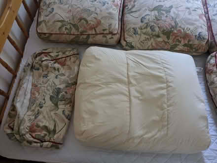 Photo of free Sofa cushions (Penicuik EH26) #2
