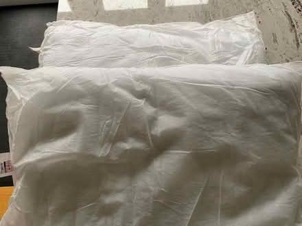 Photo of free 2 Foam Pillows (Spring Park CR0) #1