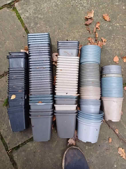 Photo of free Garden pots New Malden (New Malden KT3) #1