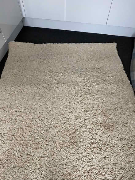 Photo of free Rug (Kettering NN15) #2