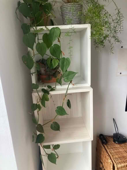 Photo of free Ikea wall cabinet cubes (Fulham SW6) #3