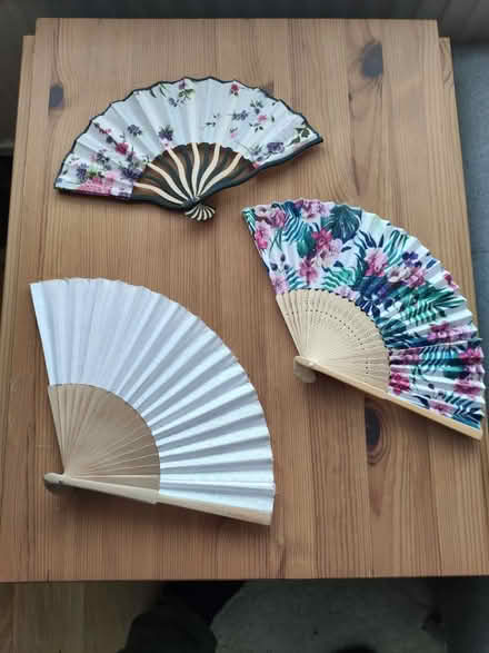 Photo of free 3 hand fans (Hooley CR5) #1
