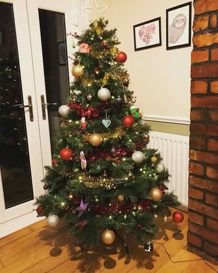 Photo of free 6ft Artificial Tree (Hillsborough S6) #2