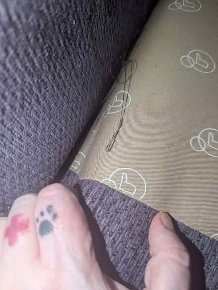 Photo of free Dfs sofa (St James' Street BN2) #3