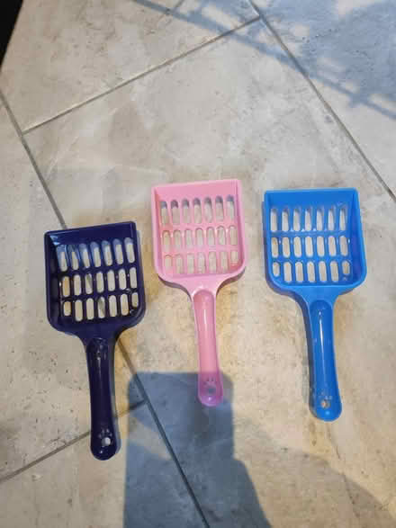 Photo of free Items for cat (D04EA40) #4