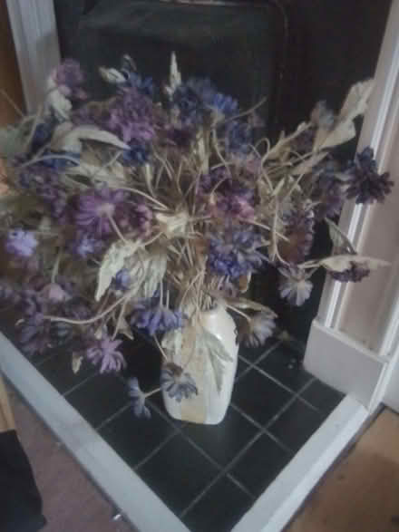 Photo of free Vase of dried flowers (Streatham Park SW16) #1