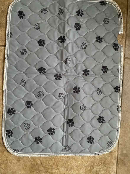 Photo of free Puppy pad (Bedford MK42) #1