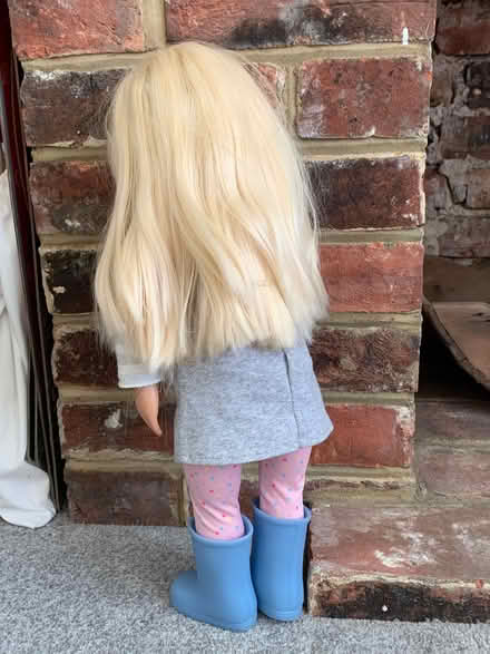 Photo of free Our Generation Doll (Hailsham BN27) #2