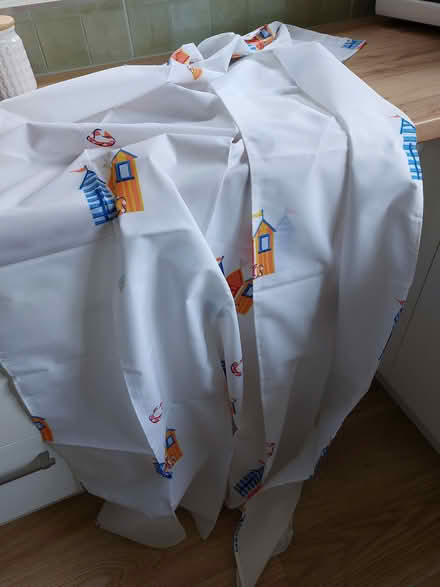 Photo of free Shower Curtain (Welwyn AL6) #1