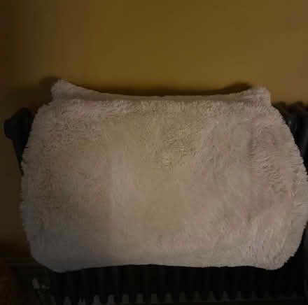Photo of free Cat bed (Nether Edge S7) #2