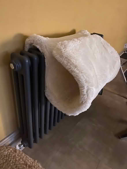 Photo of free Cat bed (Nether Edge S7) #1