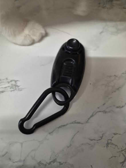 Photo of free Dog clicker (Bellingham SE6) #1