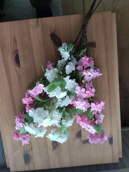Photo of free Fake flowers (Hooley CR5) #1