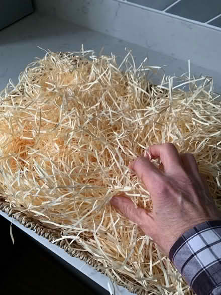Photo of free Shredded paper packaging (City Centre NR3) #1
