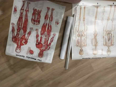 Photo of free Cellophane and posters (Heatherside) #1