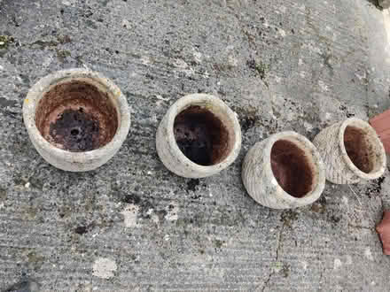 Photo of free Planters (BA1) #3