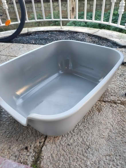 Photo of free Items for cat (D04EA40) #3