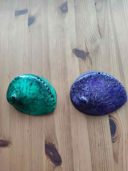 Photo of free Decorative shells (Hooley CR5) #1